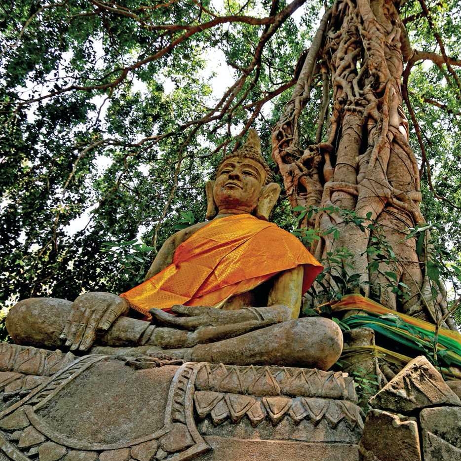 Buddha Sitting Under The Bodhi Tree In The Temple Stock Photo